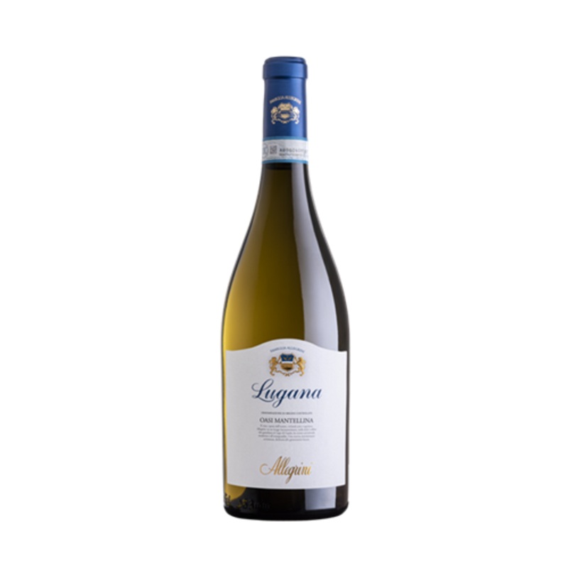 Allegrini, Lugana, 2024 (Case)