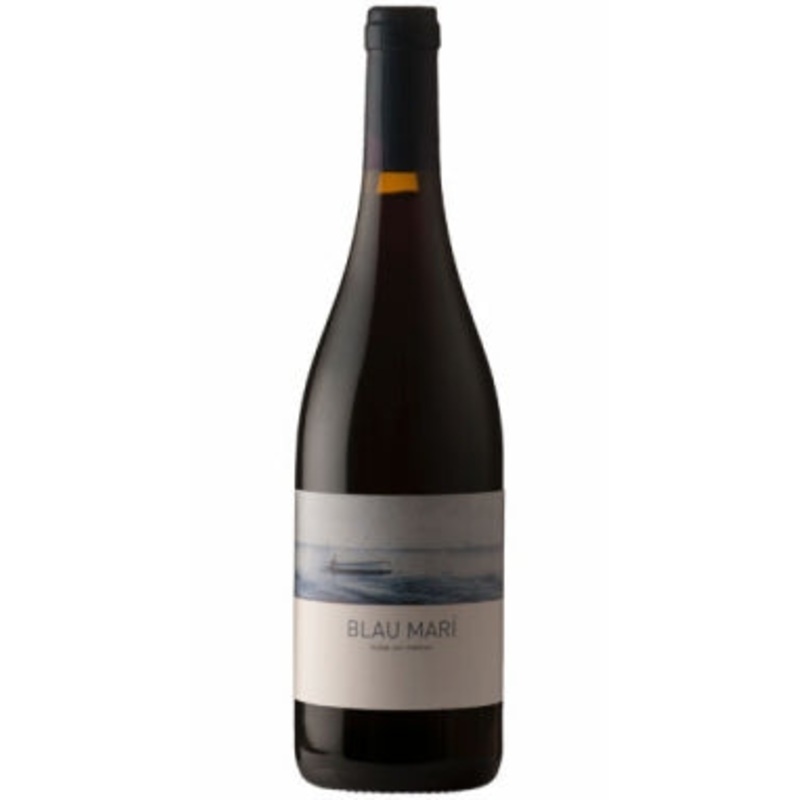 Celler 9+, Blau Mari Negre Organic, 2024 (Case)
