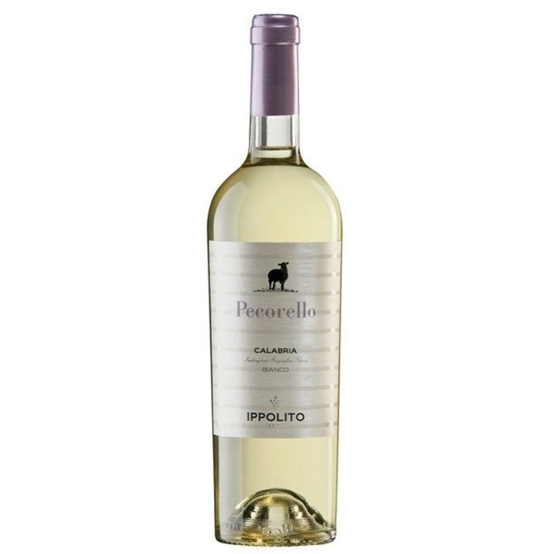 Ippolito 1845 'Pecorello', Calabria 2024 (Case)
