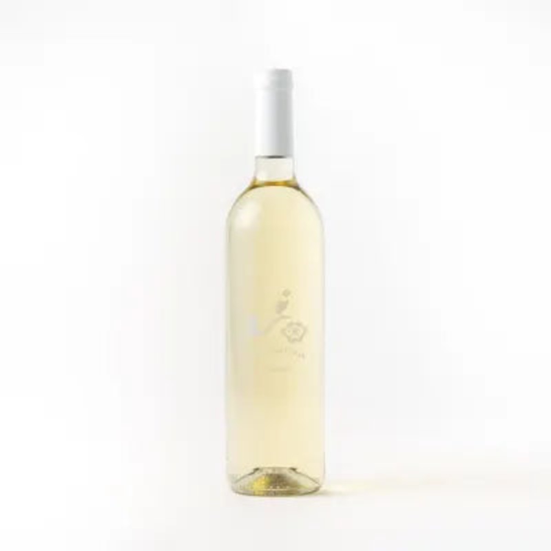 Babylonstoren,  Candide White Blend, 2024 (Case)