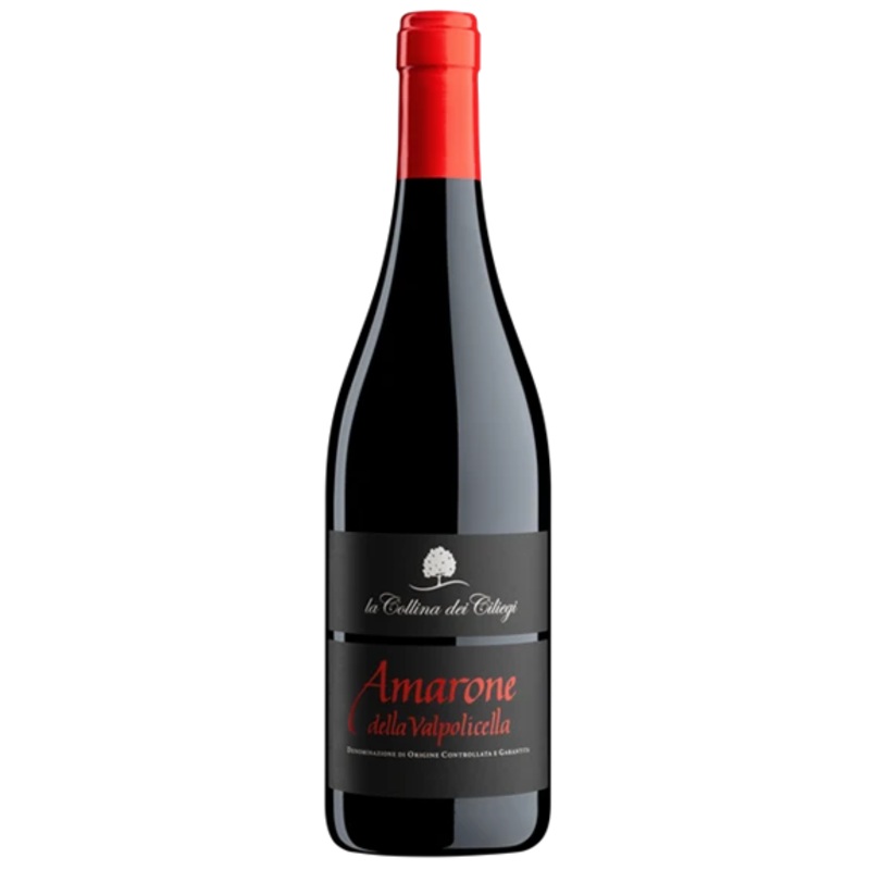 La Collina dei Ciliegi, Amarone della Valpolicella 2019 150cl (Case)