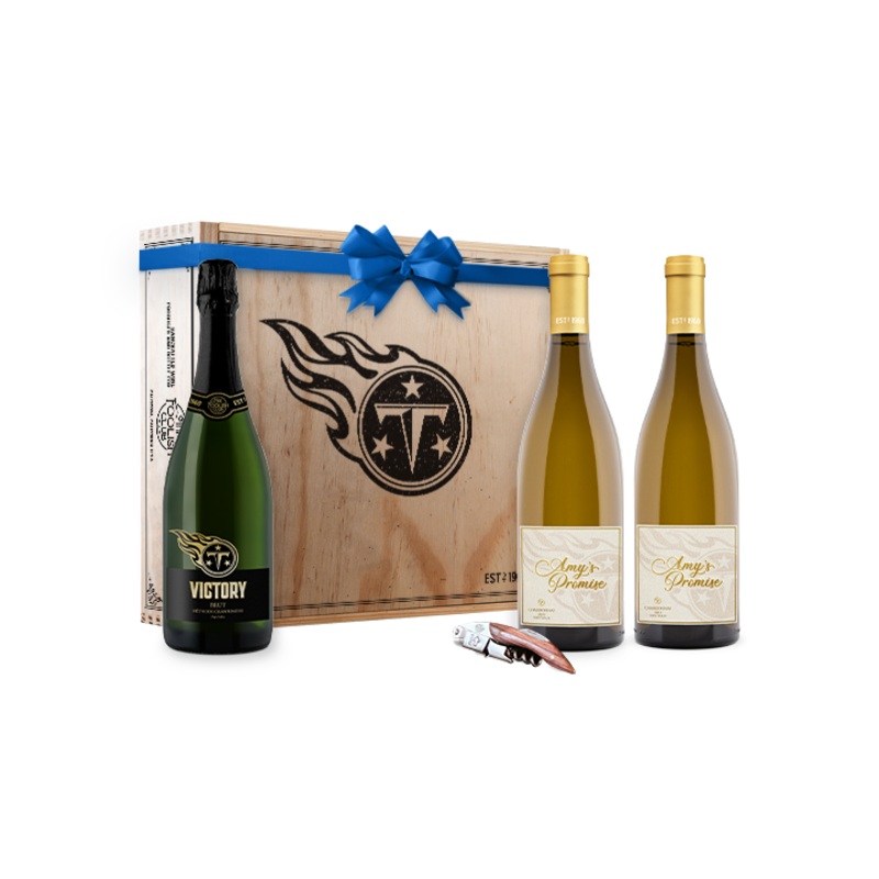 Amys Promise and Victory Gift Box Set