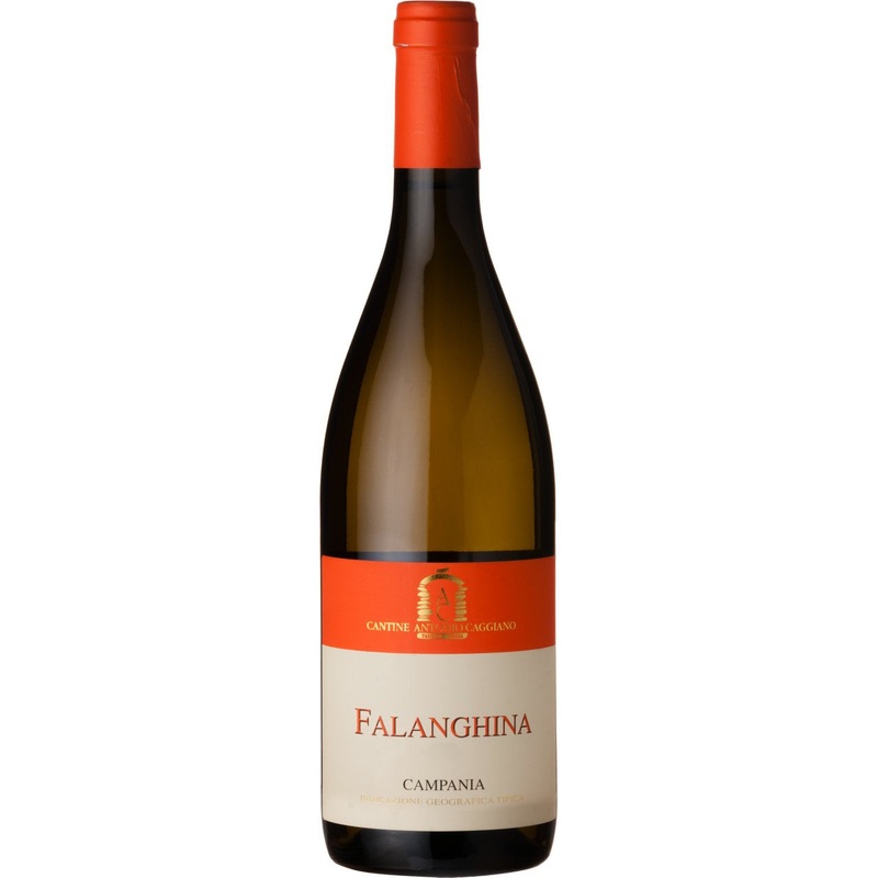 Antonio Caggiano,  Falanghina IGT Campania, 2024 (Case)