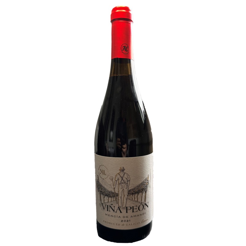 Mauricio Lorca Vina de Peon Mencia de Amandi