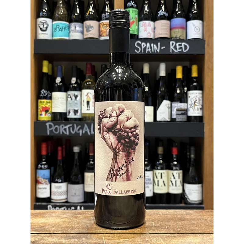 Bodega Pablo Fallabrino - Anarkia Tannat