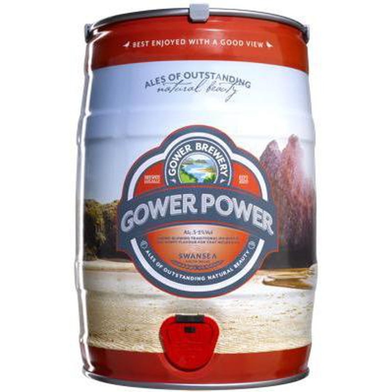 Gower Power Keg 1 Mini Keg