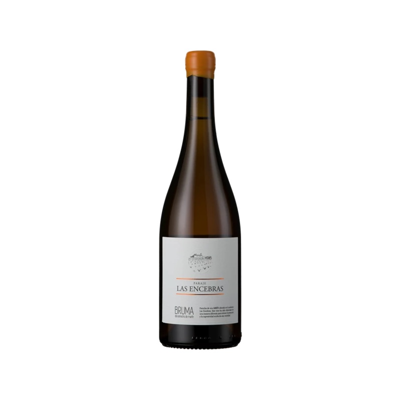 Vina Elena, Bruma del Estrecho de Marin, Paraje Las Encebras, 2021 (Case)