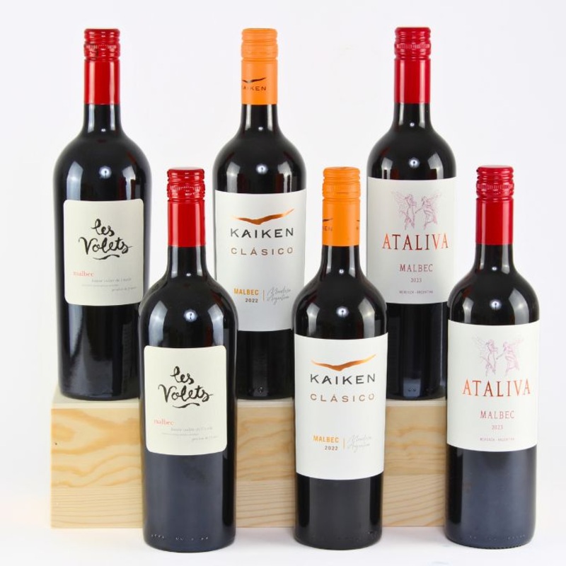 Simply Malbec Case