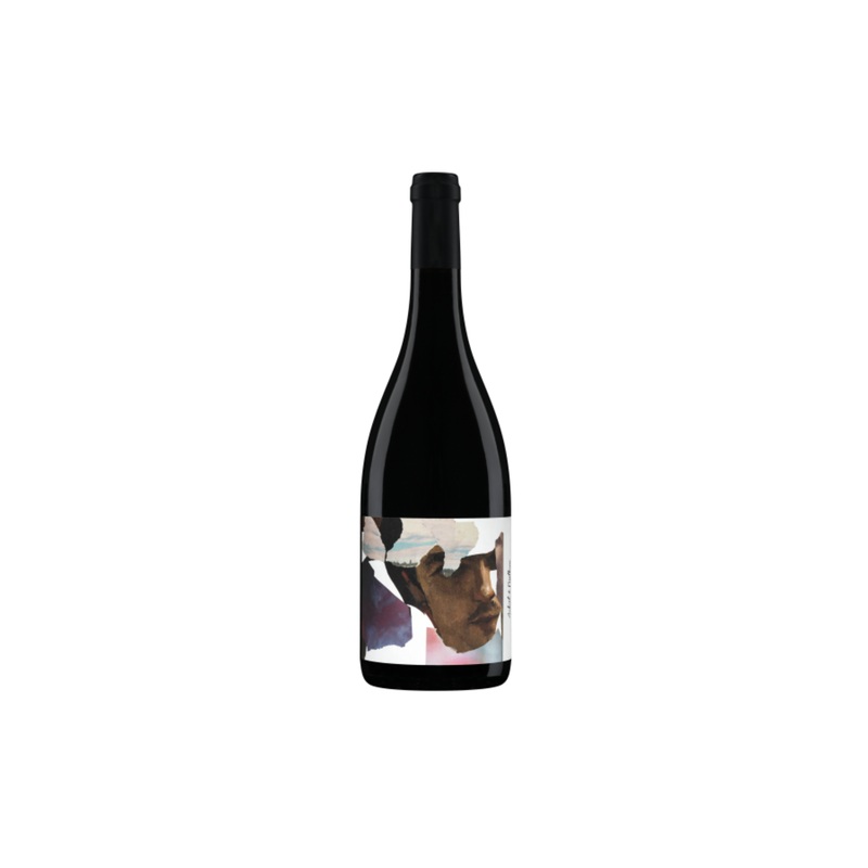 Aubert et Mathieu Terrasses du Larzac 2019