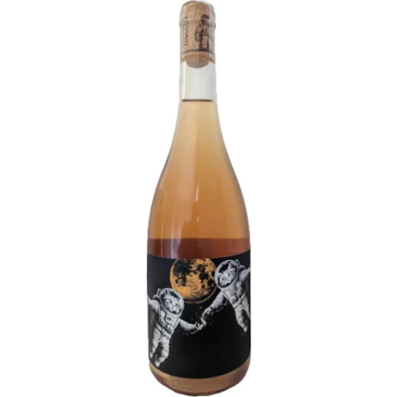 Felicette First Contact Orange