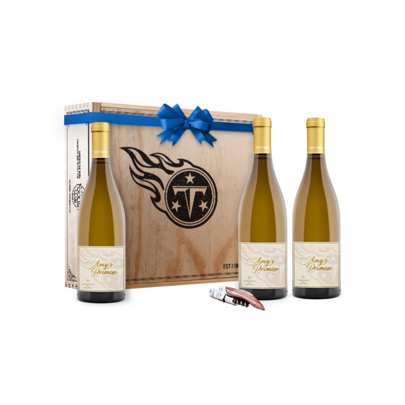 Amys Promise Gift Box Set