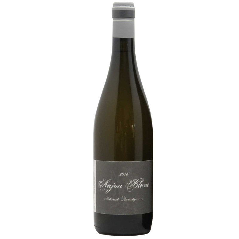 Thibaud Boudignon Anjou Blanc 2021 75cl