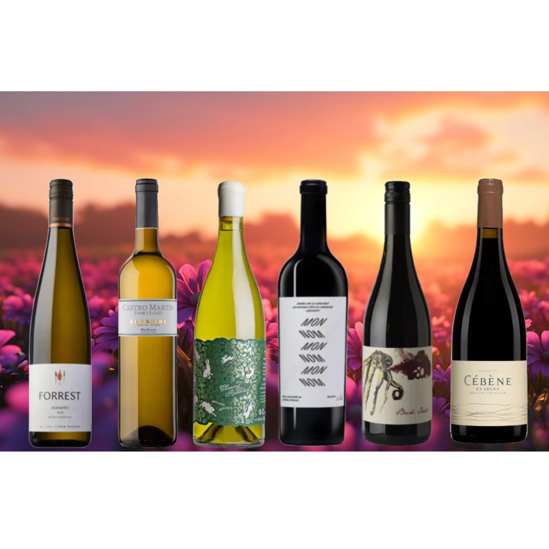 Women of the Vine