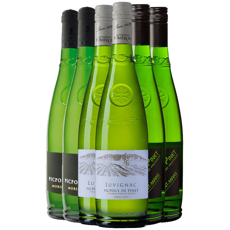 Picpoul de Pinet Sampler Case
