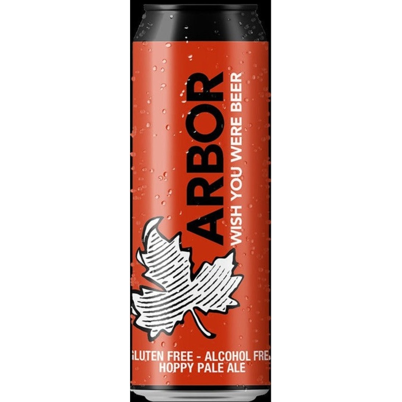 Arbor Wish You Were Beer 1 Can