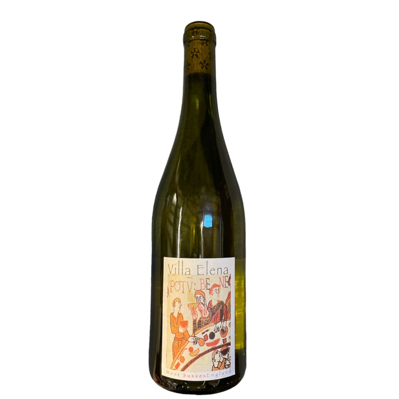 Villa Elena Pinot Gris / Bacchus 2020