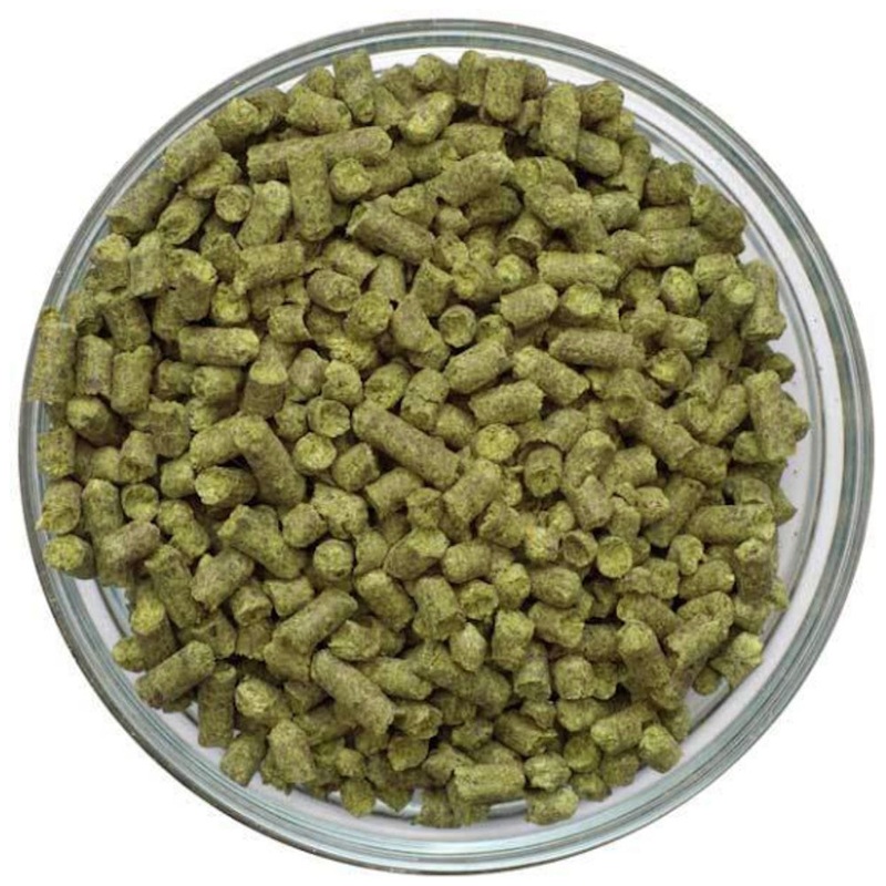 Brew2Bottle El Dorado (USA) 100g T-90 Hop Pellets 2024