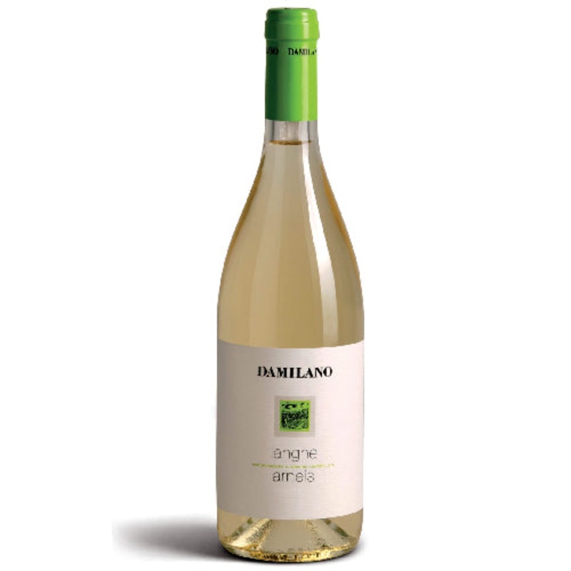 Damilano Arneis 2023 - 750ml