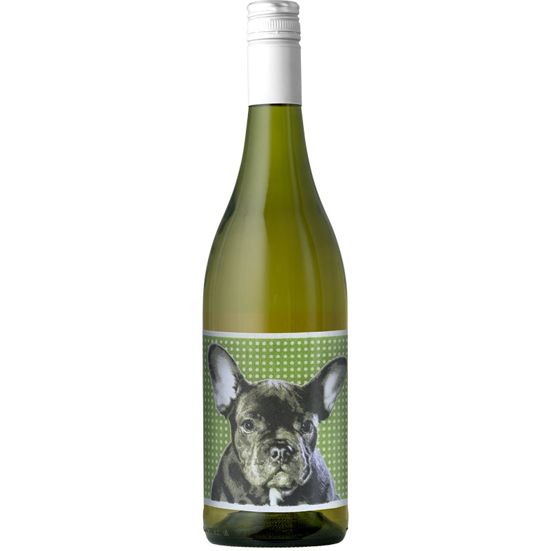 Chiens Catlans Blanc 2020