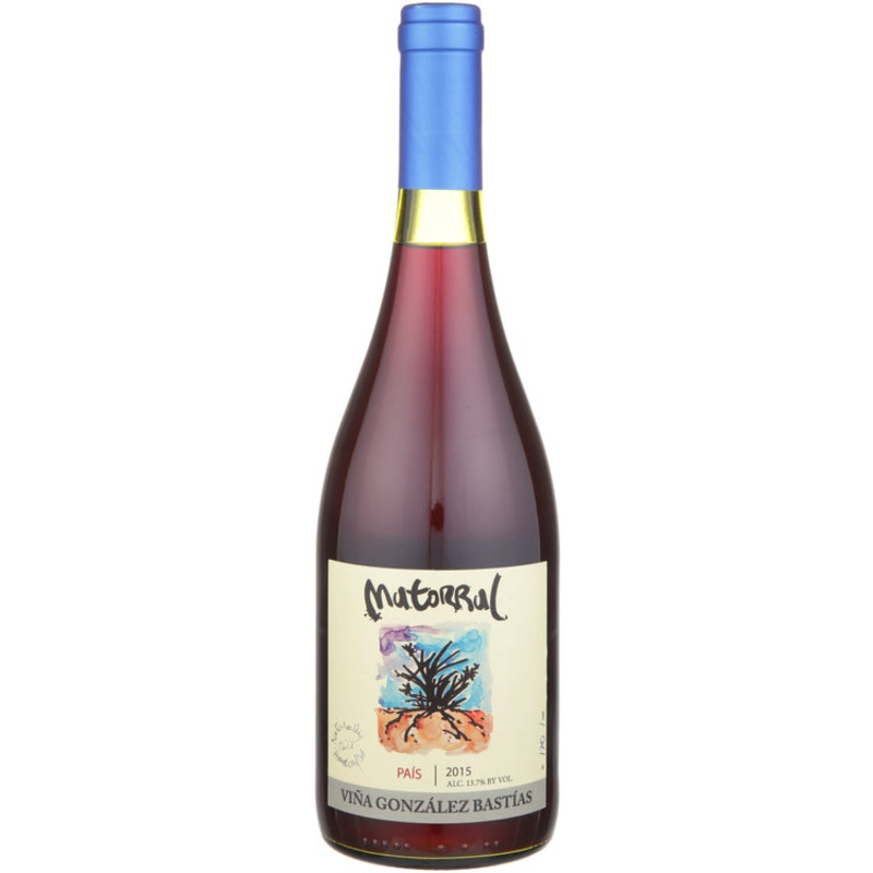 Vina Gonzalez Bastias Pais Matorral Maule Valley 2017 750 ML