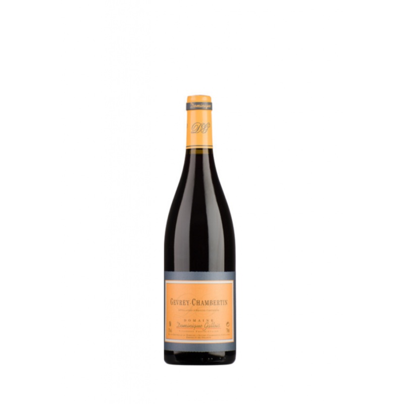 Domaine Gallois, Gevrey Chambertin, 2022 (Case)