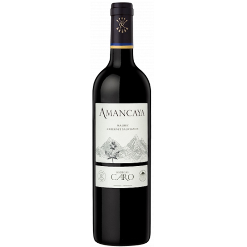 AMANCAYA 2021 Bodegas Caro, Domaines Baron de Rothschild Lafite 12 Bottle Case 12x75cl