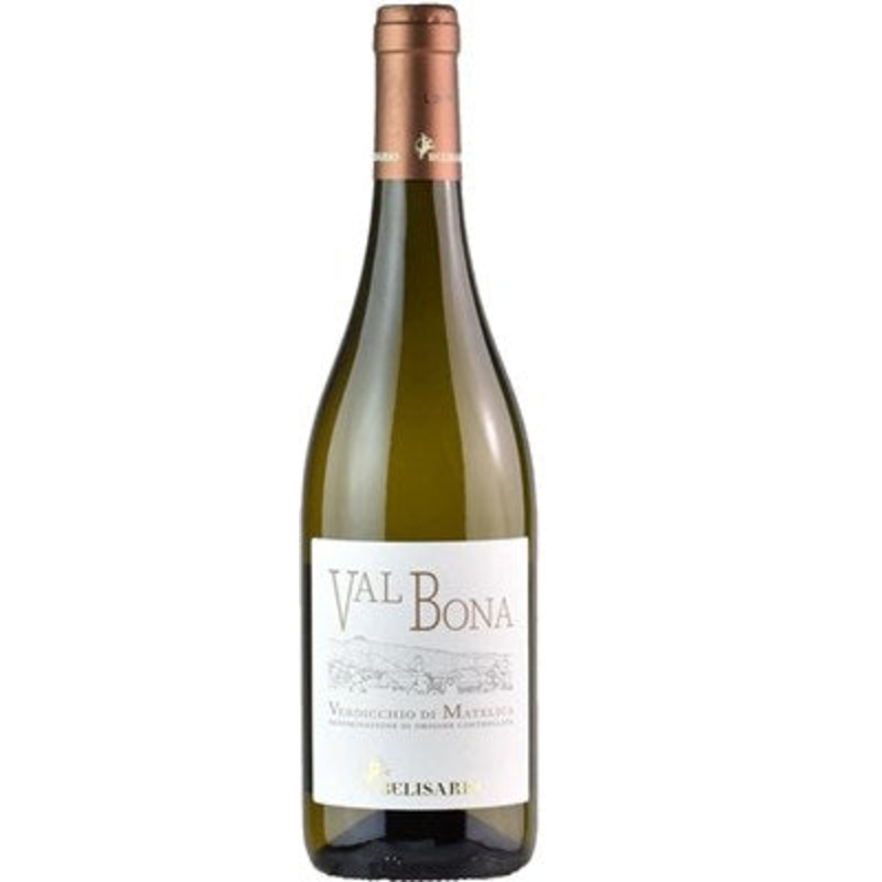 Cantine Belisario, Verdicchio di Matelica Terre di Valbona, 2024 (Case)