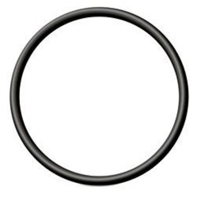 4" O'ring for King Kegs & Wide Neck Fermenters