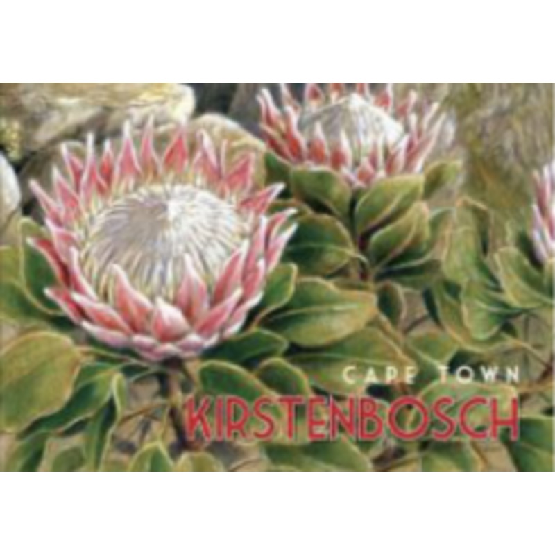 Wooden Post Card - Kirstenbosch