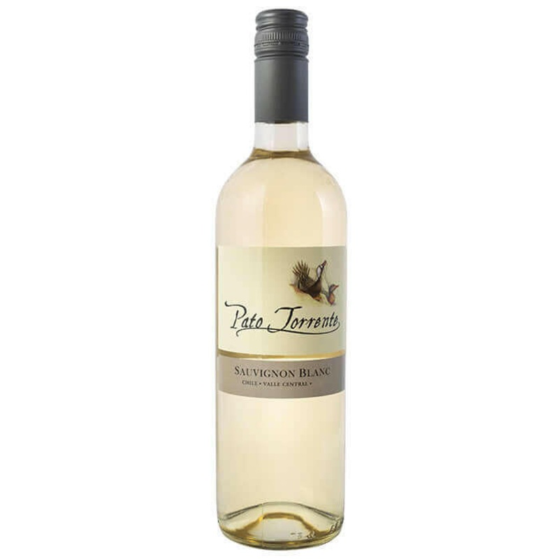 Pato Torrente Sauvignon Blanc, Valle Central 2024