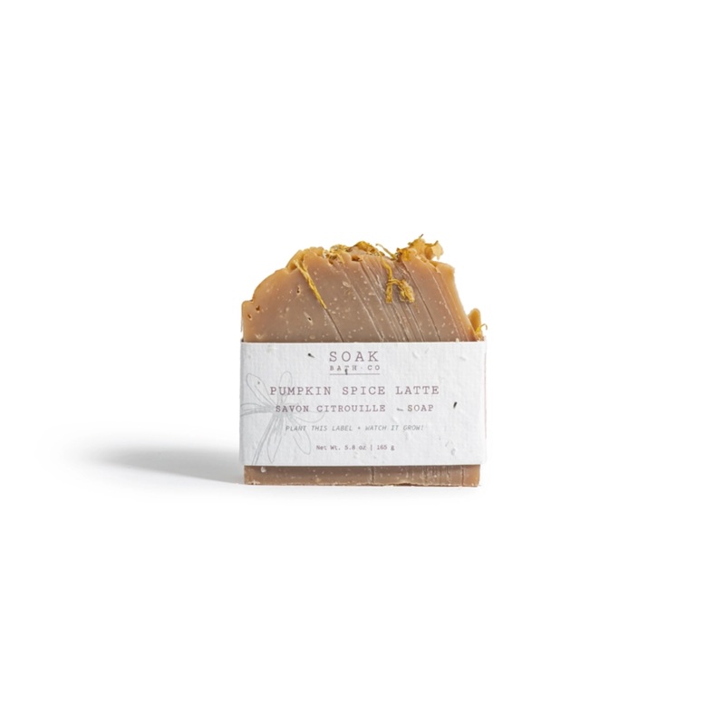 Pumpkin Spice Soap Bar Single