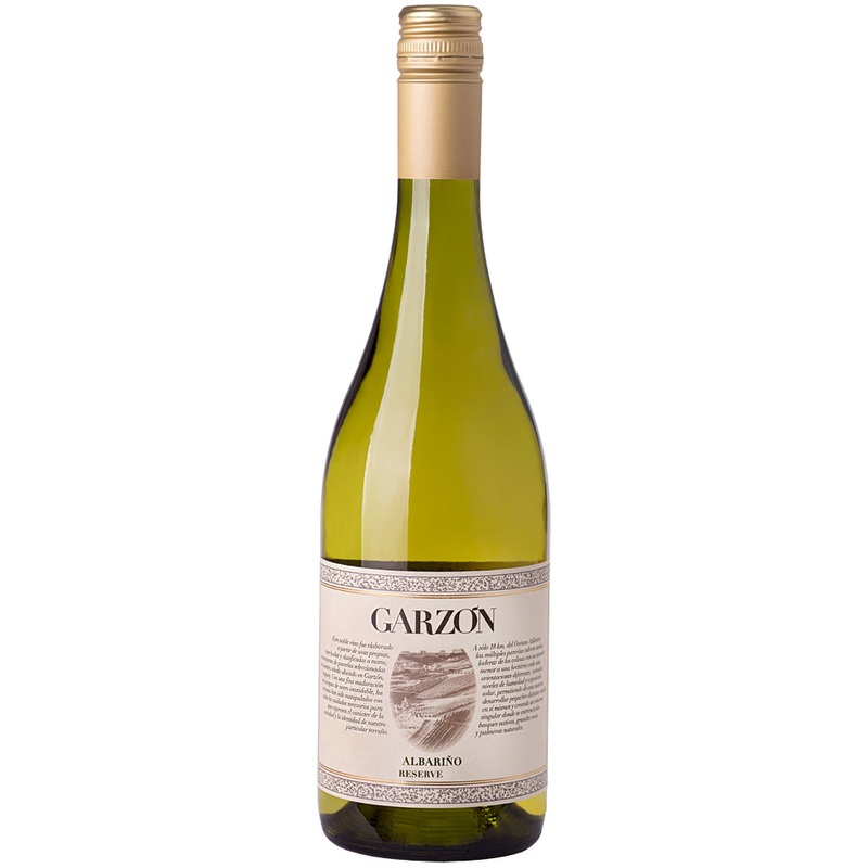 Bodega Garzn Albario Reserve 2022 Single Bottle