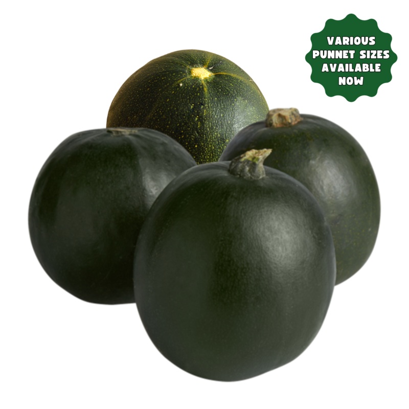 Gem Squash (Various Punnet Options) Individual (1)