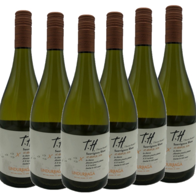 Undurraga Terroir Hunter Lo Abarca Sauvigon Blanc Vertical Case 6 Bottles Descorchados 96/100 DWWA 90/100